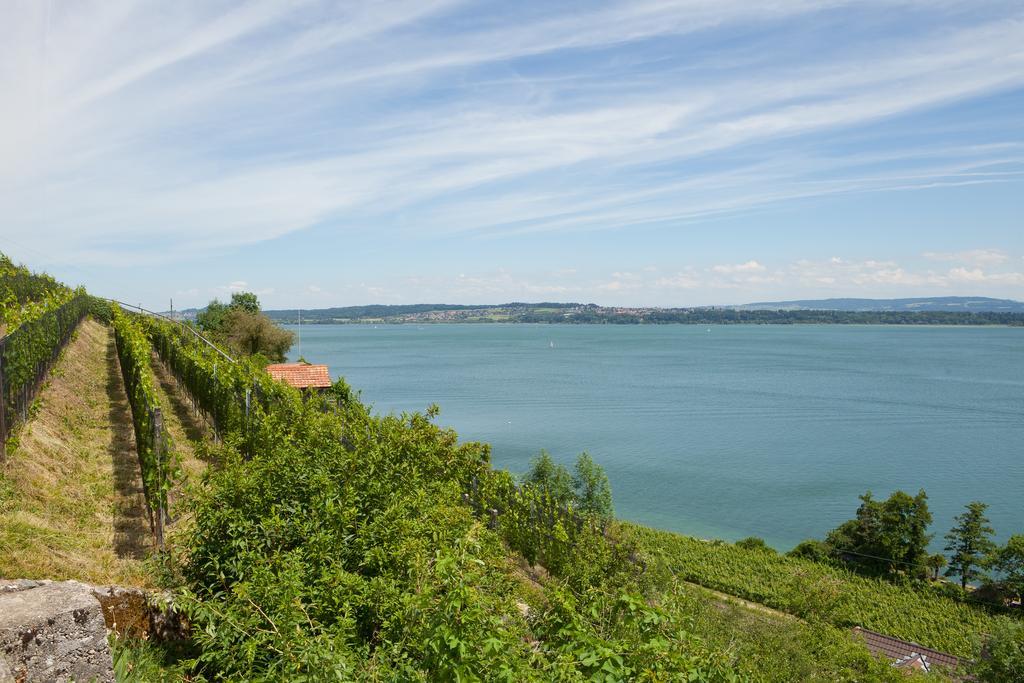 Alpes Et Lac La Neuveville Exterior foto